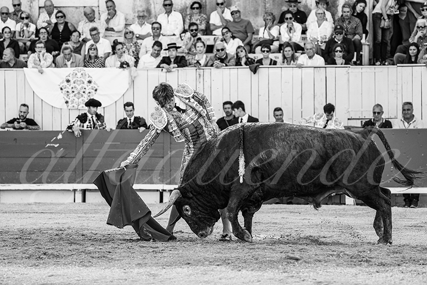 20250914 arles by alfaduende 006