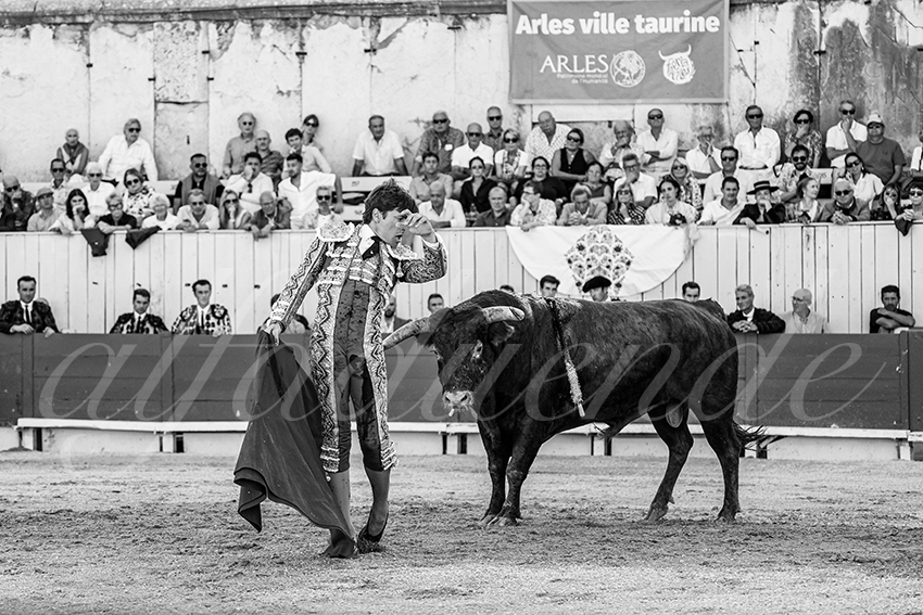 20250914 arles by alfaduende 005