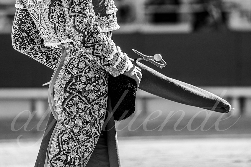 20250914 arles by alfaduende 004