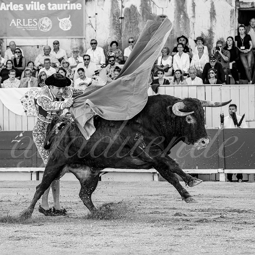 20250914 arles by alfaduende 003