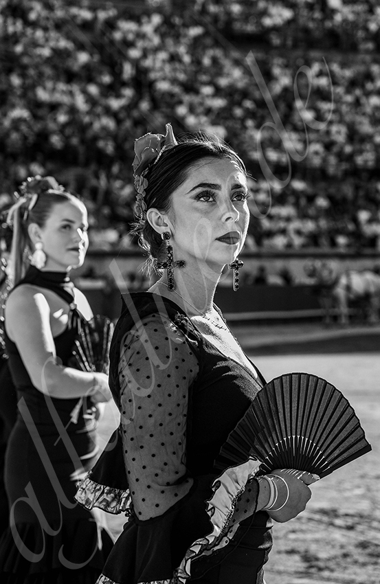 20250919 nimes by alfaduende 009