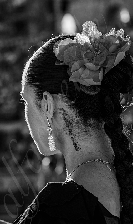 20250919 nimes by alfaduende 008