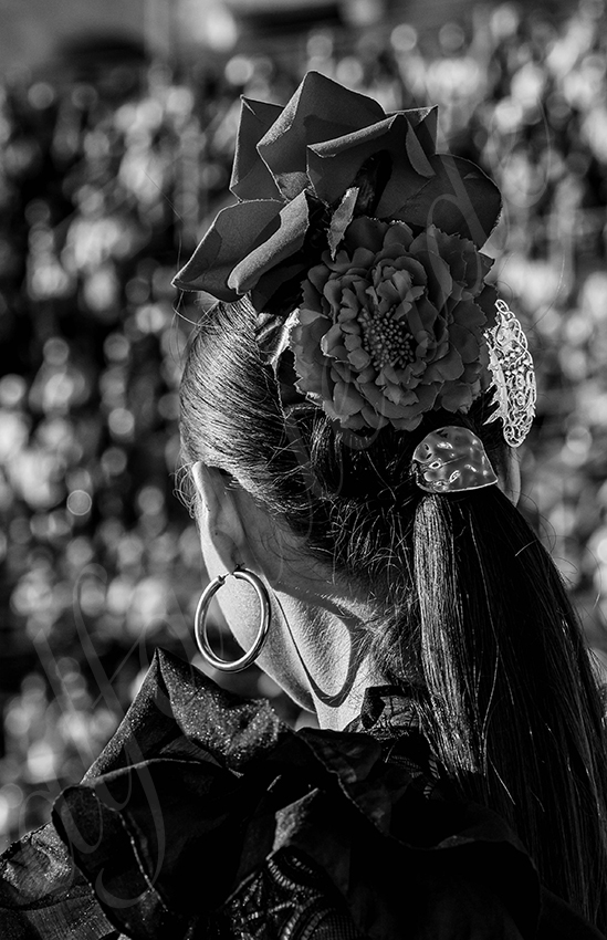 20250919 nimes by alfaduende 007