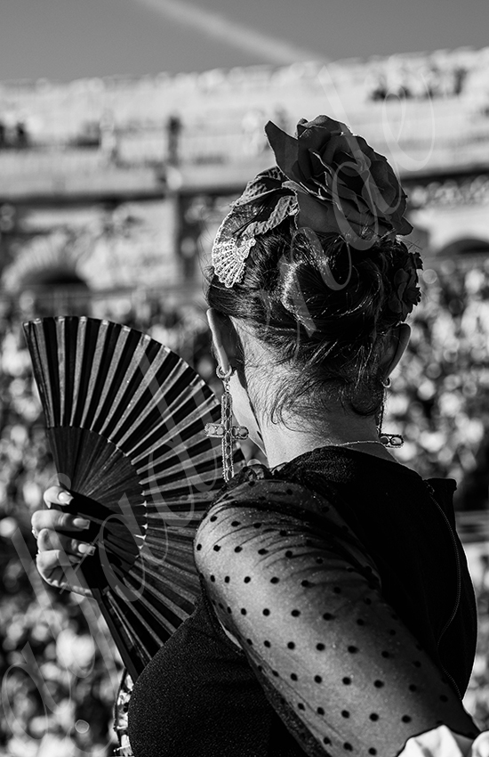 20250919 nimes by alfaduende 006