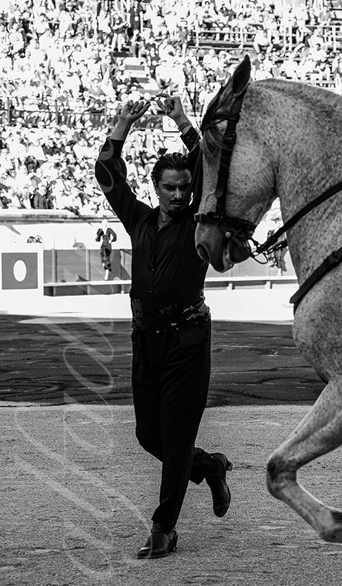 20250919 nimes by alfaduende 005