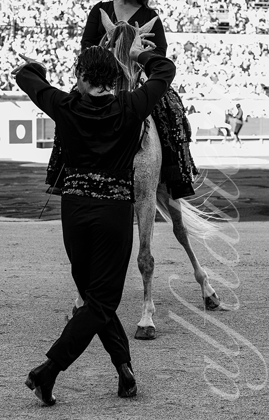 20250919 nimes by alfaduende 004