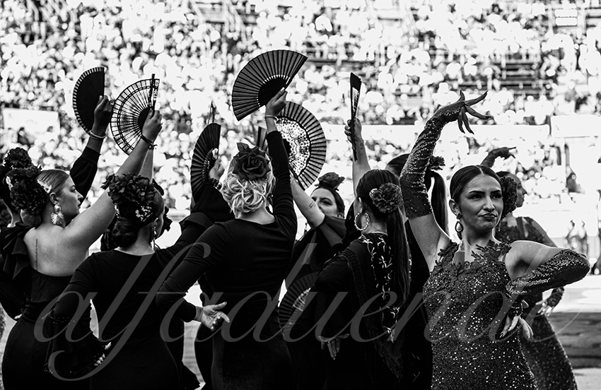 20250919 nimes by alfaduende 002