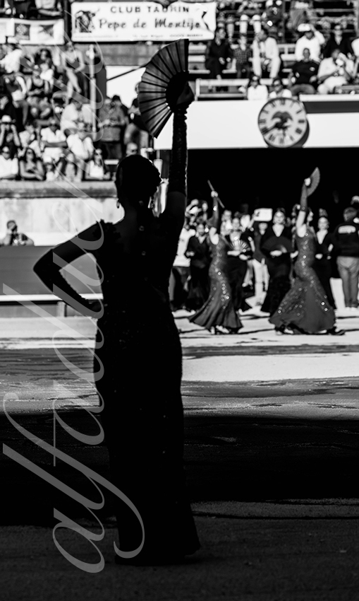 20250919 nimes by alfaduende 001