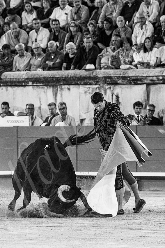 20250919 nimes by alfaduende 021