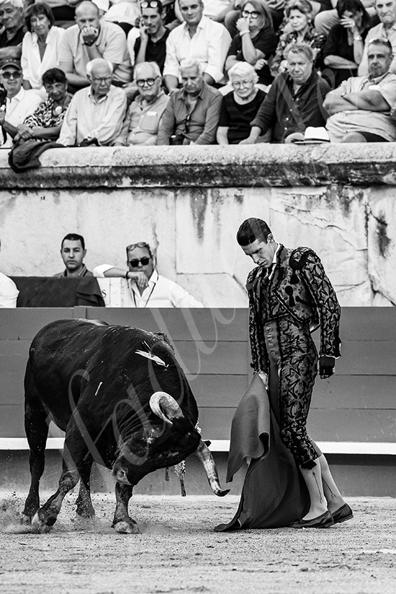 20250919 nimes by alfaduende 020