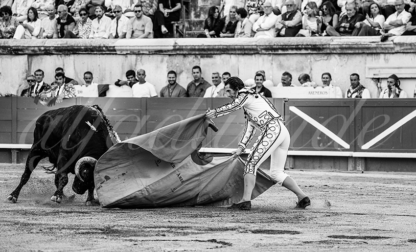 20250919 nimes by alfaduende 019