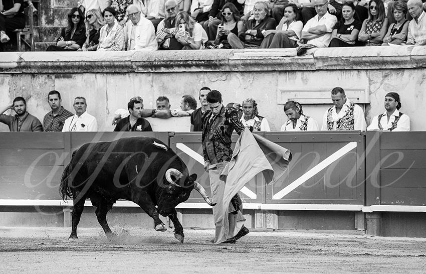 20250919 nimes by alfaduende 018