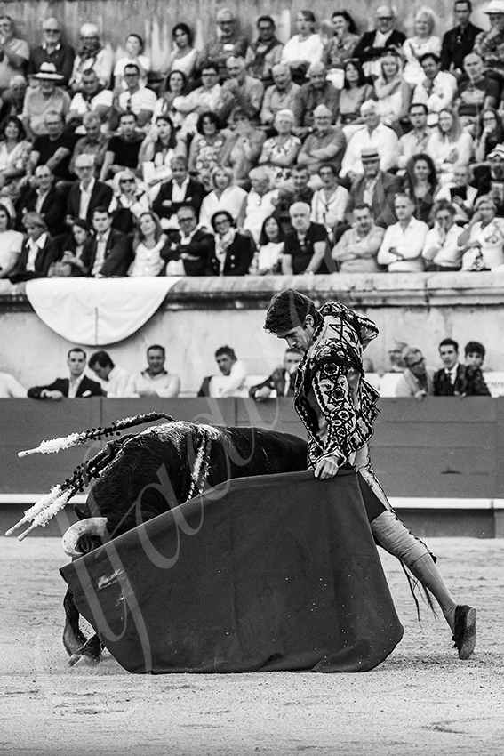 20250919 nimes by alfaduende 015