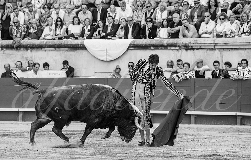 20250919 nimes by alfaduende 013