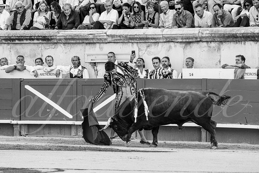 20250919 nimes by alfaduende 012