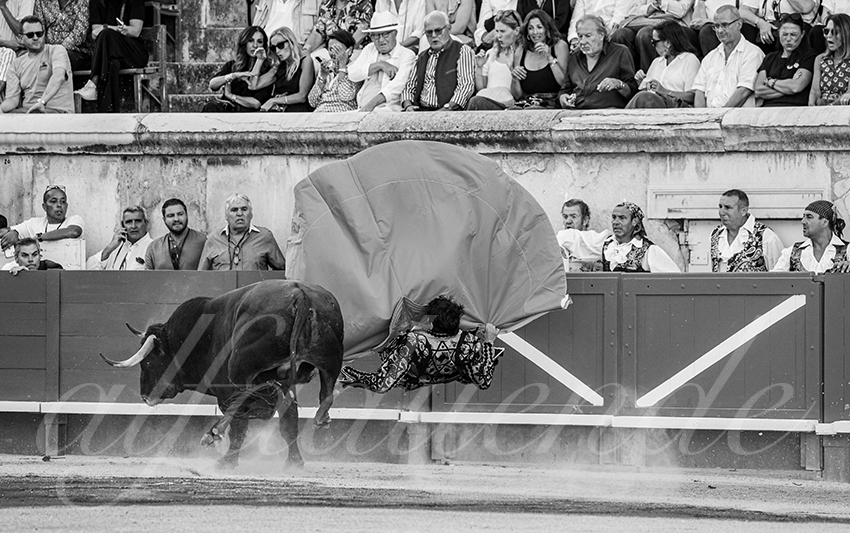 20250919 nimes by alfaduende 011