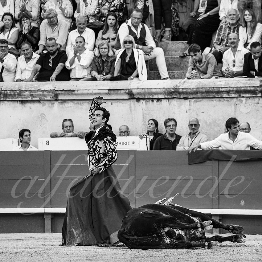 20250919 nimes by alfaduende 032