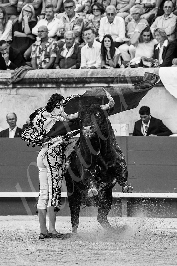 20250919 nimes by alfaduende 031