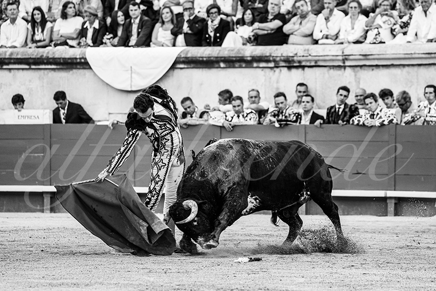 20250919 nimes by alfaduende 030