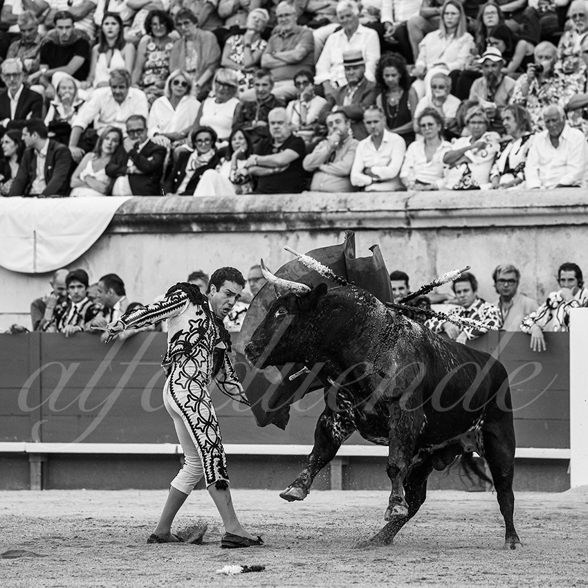 20250919 nimes by alfaduende 029