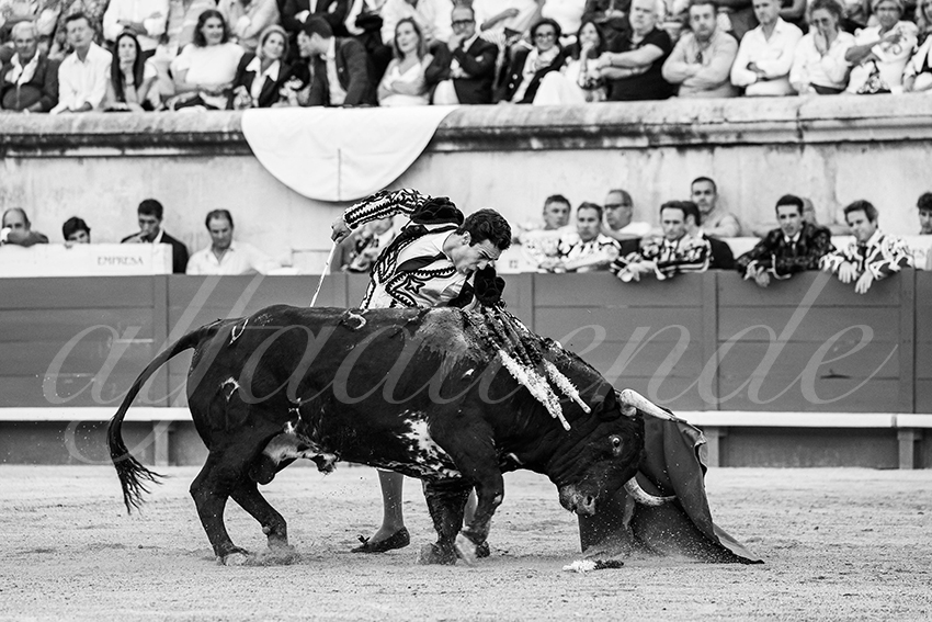 20250919 nimes by alfaduende 028