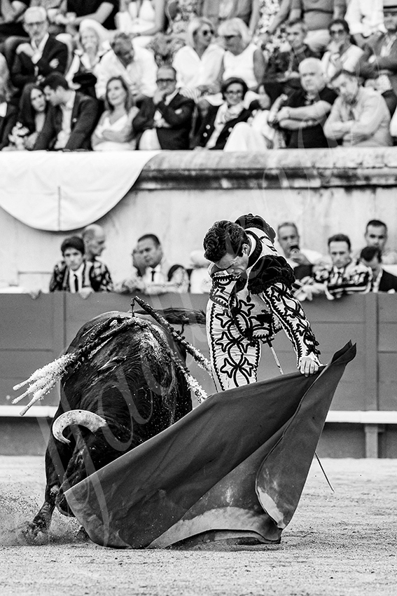 20250919 nimes by alfaduende 027