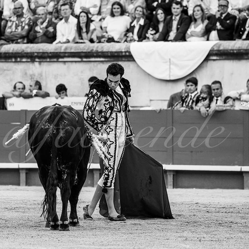 20250919 nimes by alfaduende 026