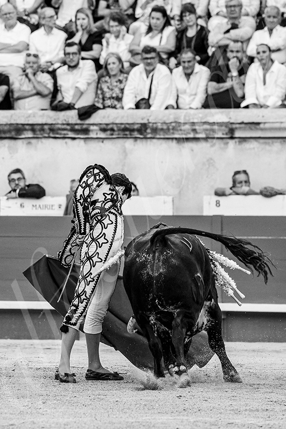 20250919 nimes by alfaduende 025