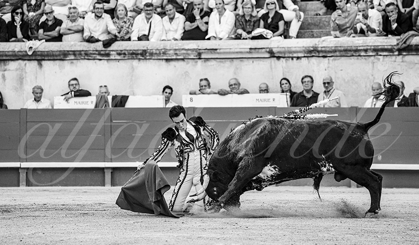 20250919 nimes by alfaduende 024