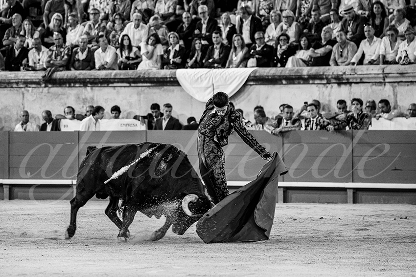 20250919 nimes by alfaduende 022