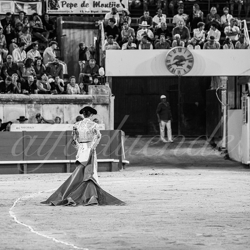 20250920 nimes by alfaduende 011