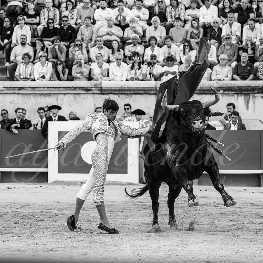 20250920 nimes by alfaduende 009