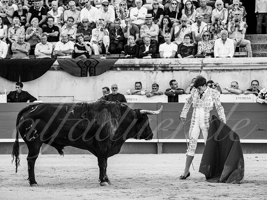 20250920 nimes by alfaduende 008