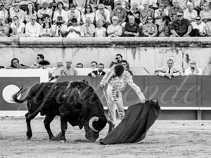 20250920 nimes by alfaduende 007