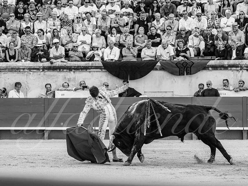 20250920 nimes by alfaduende 006