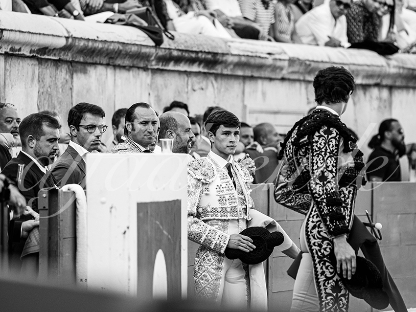 20250920 nimes by alfaduende 004