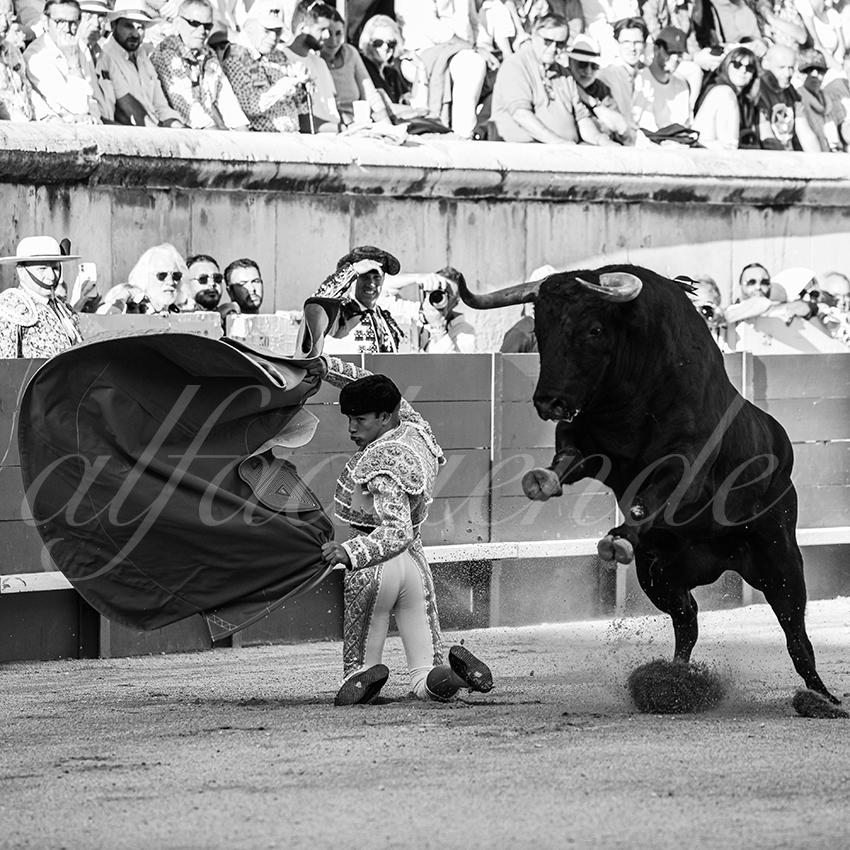 20250920 nimes by alfaduende 003