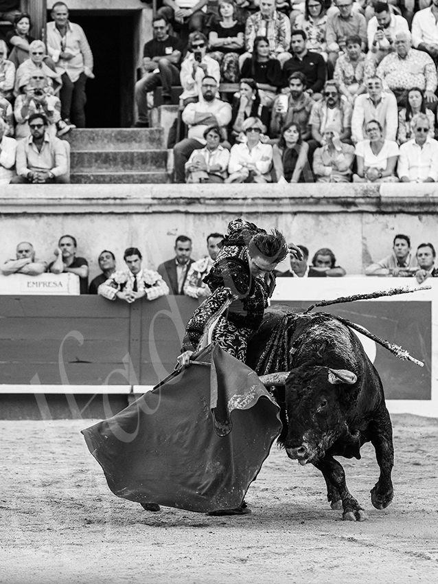 20250920 nimes by alfaduende 023