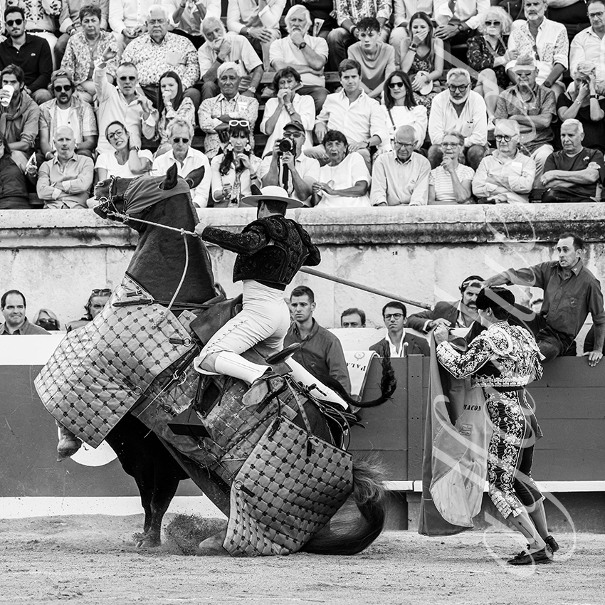 20250920 nimes by alfaduende 021