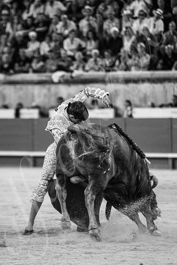 20250920 nimes by alfaduende 018