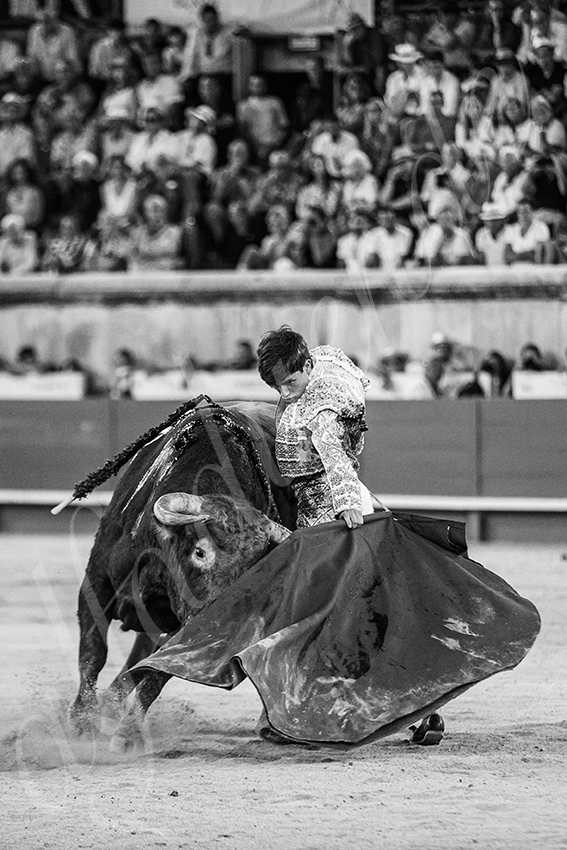 20250920 nimes by alfaduende 017