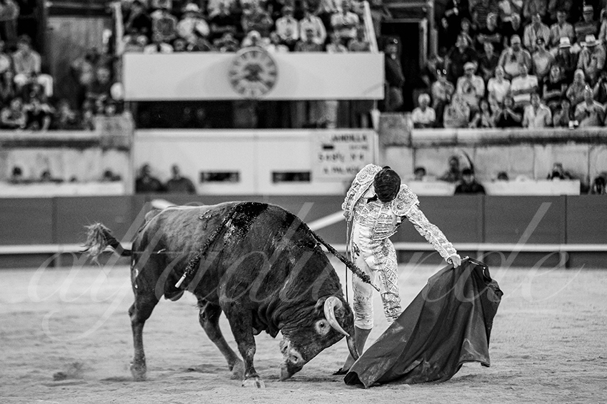 20250920 nimes by alfaduende 016