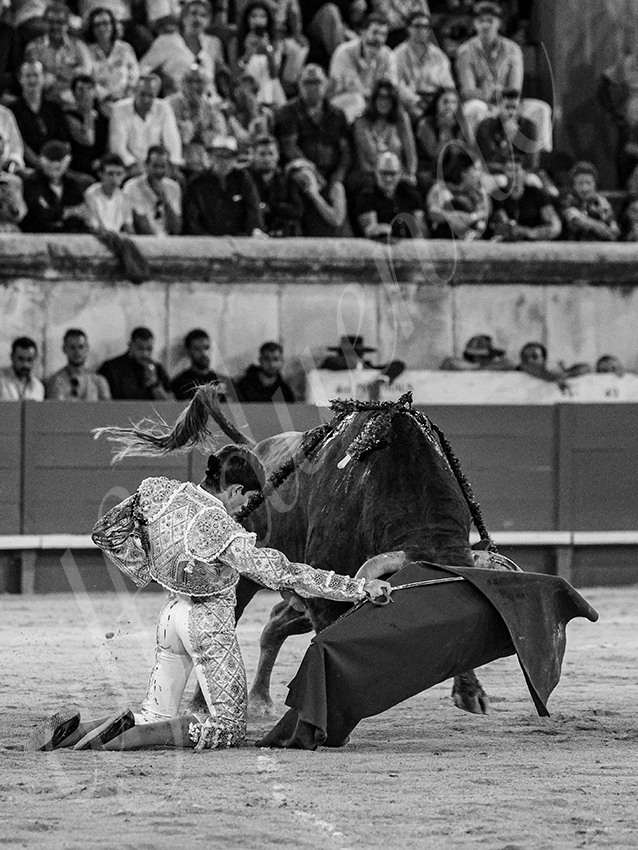 20250920 nimes by alfaduende 015