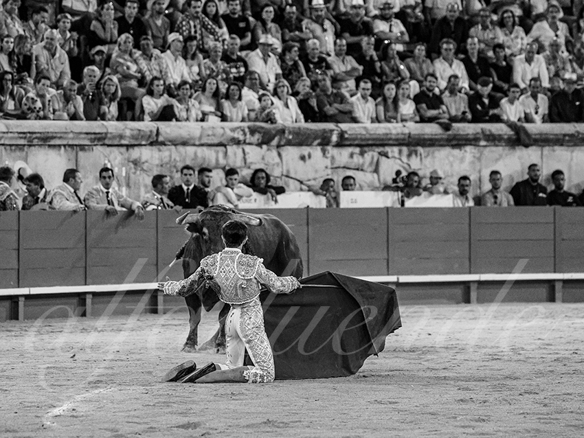 20250920 nimes by alfaduende 014