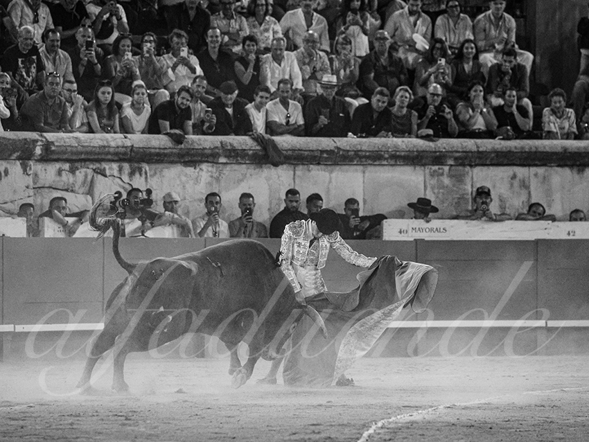 20250920 nimes by alfaduende 013