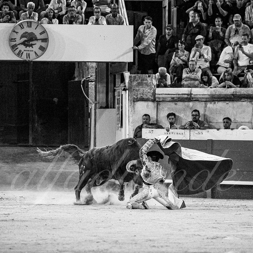 20250920 nimes by alfaduende 012