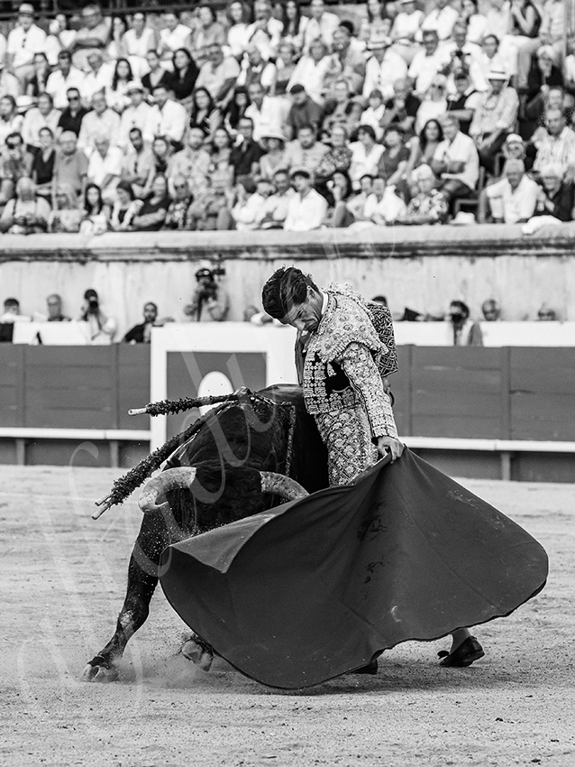 20250920 nimes by alfaduende 033