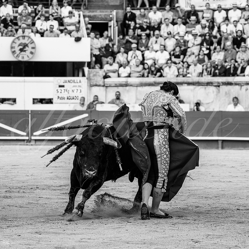 20250920 nimes by alfaduende 032