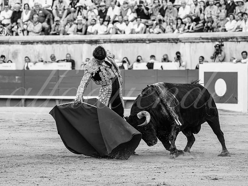 20250920 nimes by alfaduende 031