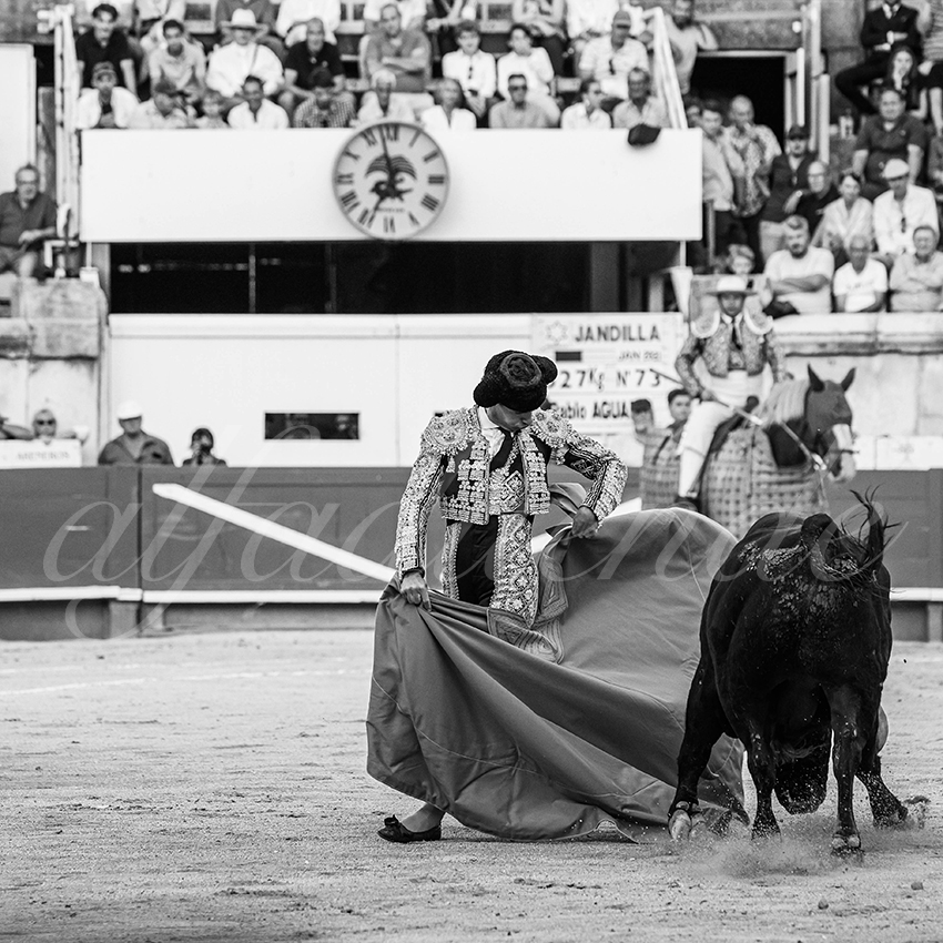 20250920 nimes by alfaduende 030